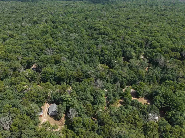 Lot 166 James, Wellston, MI 49689