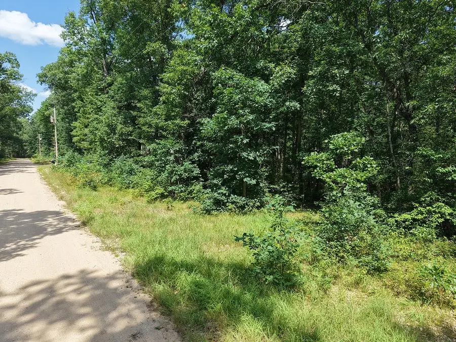 Lot 166 James, Wellston, MI 49689 - #3