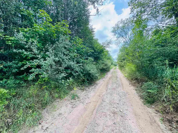 Parcel B4/B5 Bosscher, Manton, MI 49663