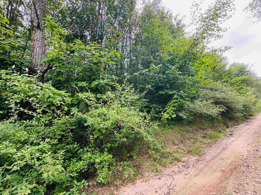 Parcel B4/B5 Bosscher, Manton, MI 49663 - #3