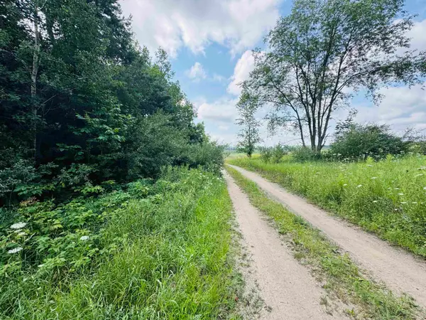 Parcel B6/B7 Bosscher, Manton, MI 49663