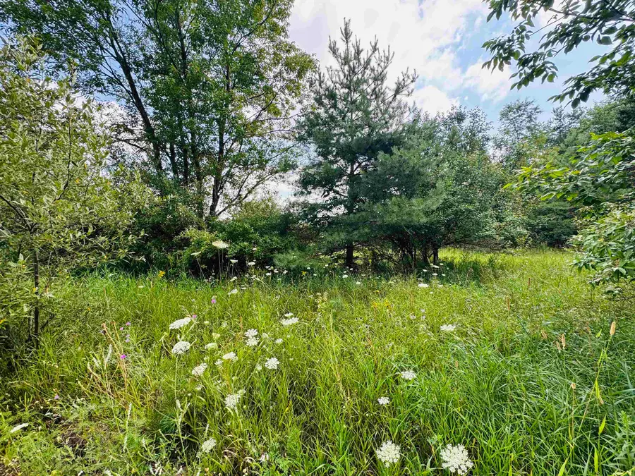 Parcel B6/B7 Bosscher, Manton, MI 49663 - #2