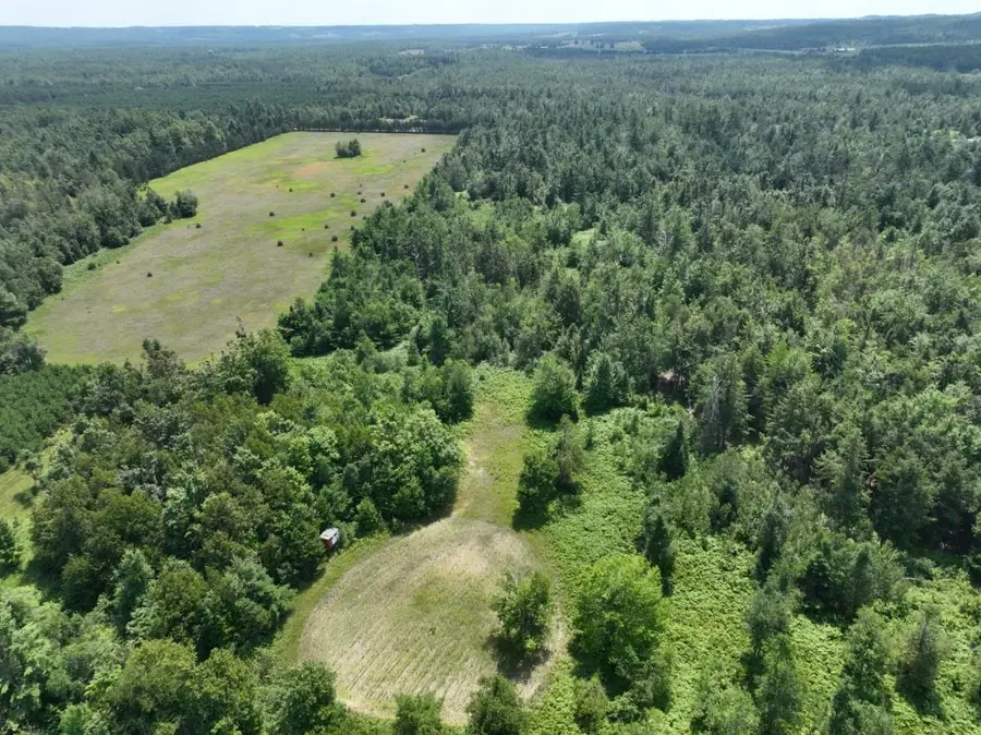 628 Badgley RD, Vanderbilt, MI 49795 - #3