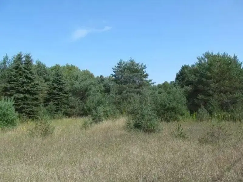 0 M-55, Cadillac, MI 49601 - #3