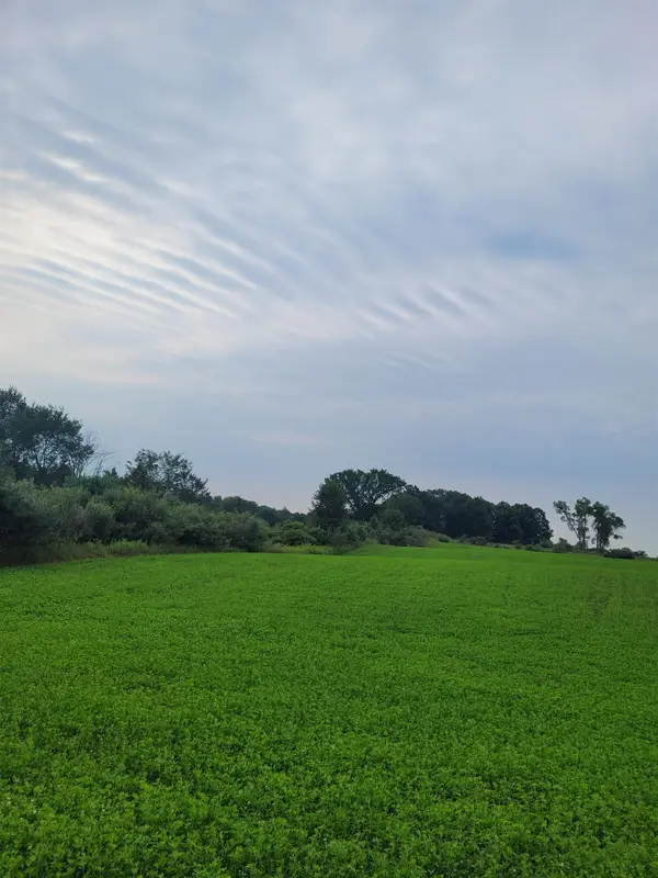 V/L N Cook, Marion, MI 49665