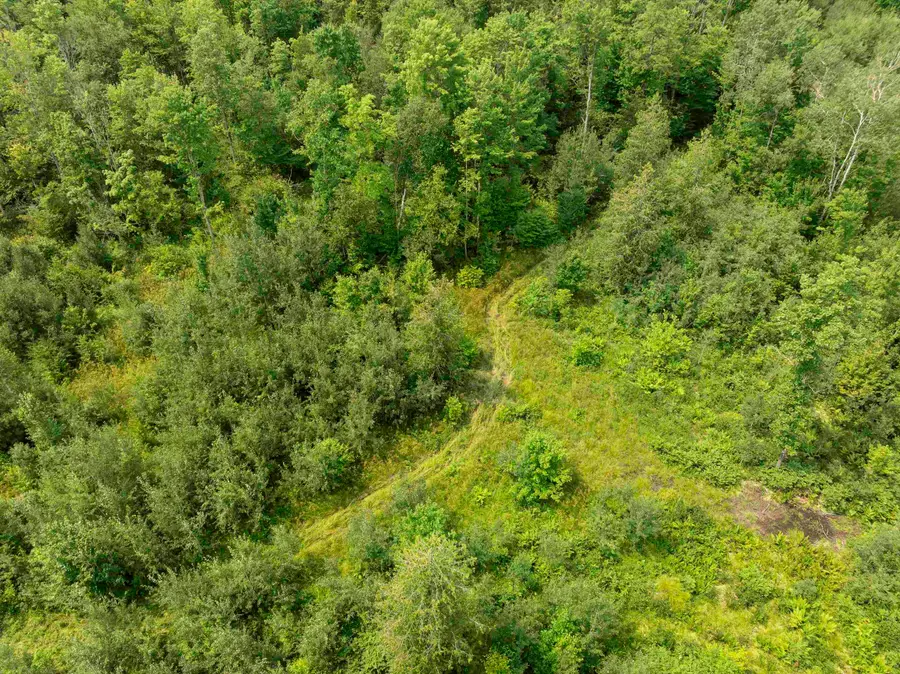 000 S Thompsonville, Thompsonville, MI 49683 - #3