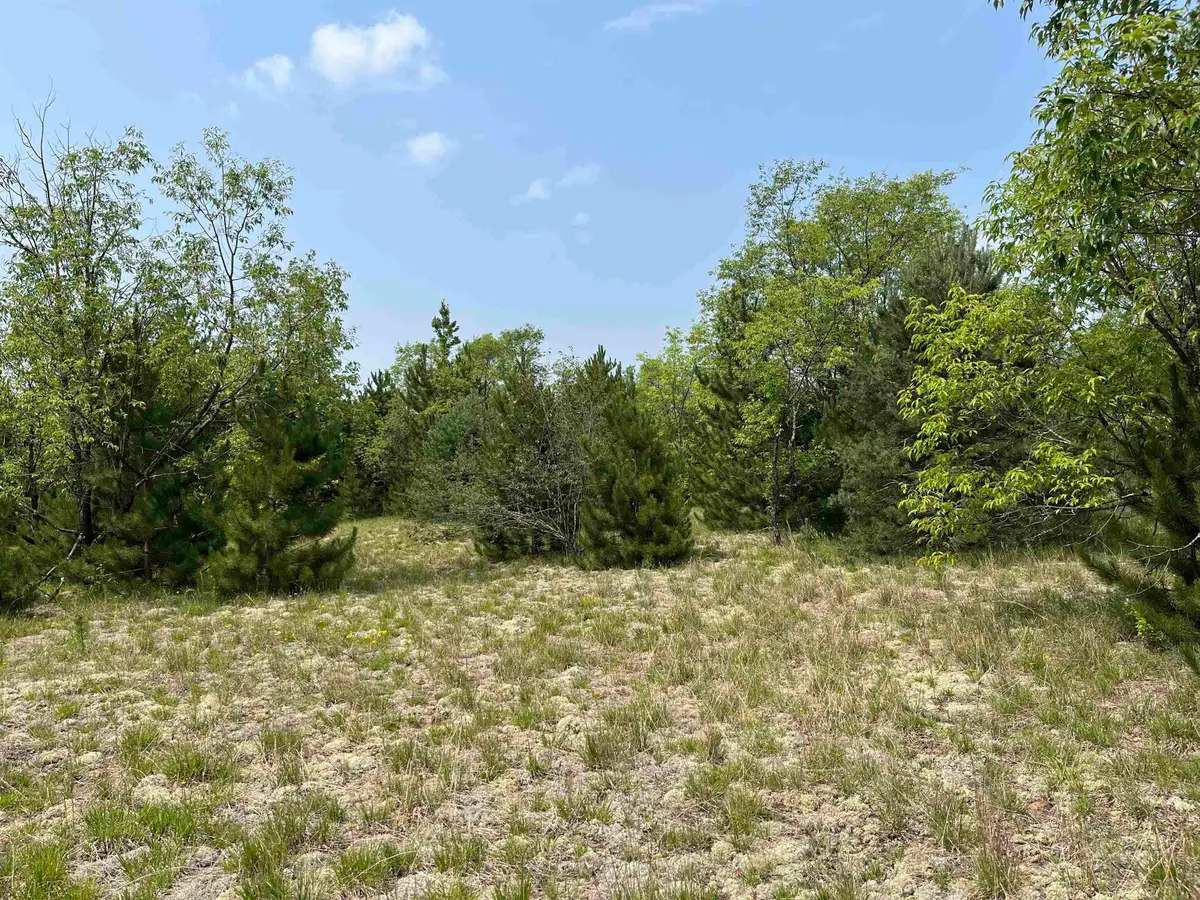 S Westwood, Mancelona, MI 49646 - #1