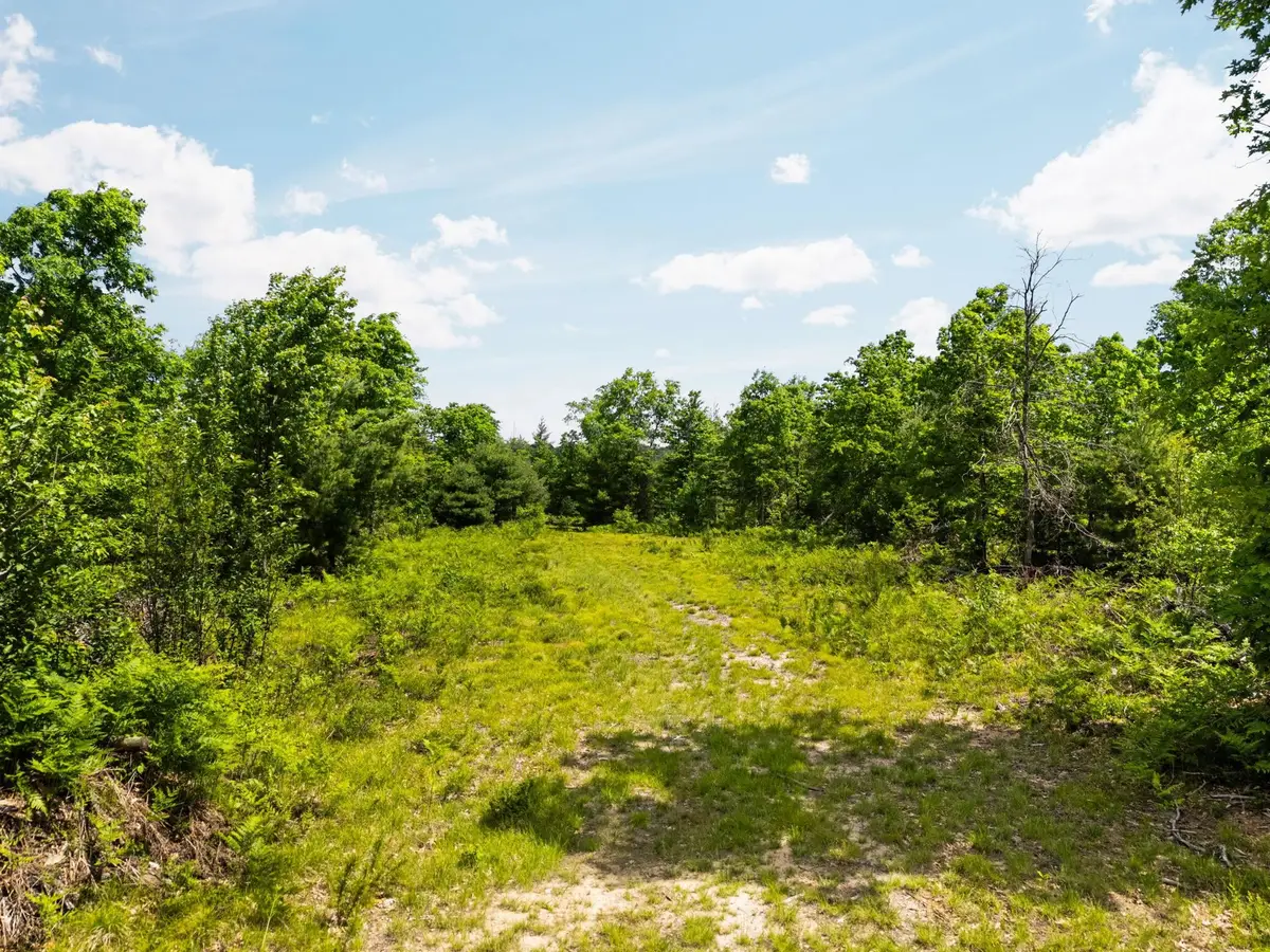 4011 W Forest, Forest, MI 49651 - #1
