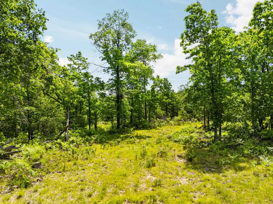 4011 W Forest, Forest, MI 49651 - #3