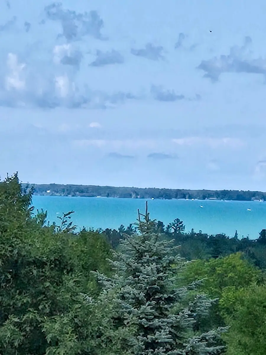 10746 Deal, Williamsburg, MI 49690 - #3