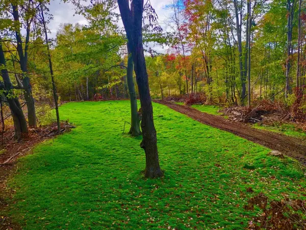 V/Land SE M-115, Marion, MI 49665