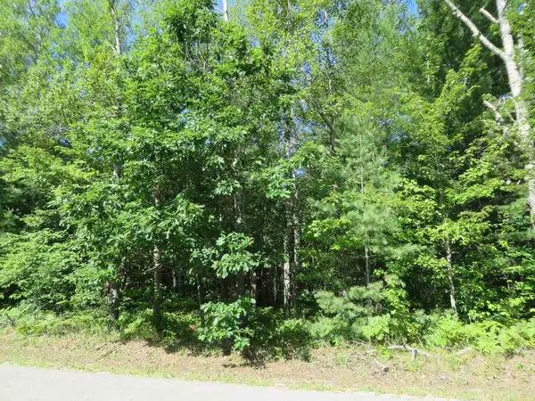 2065 E Log Lake, Kalkaska, MI 49646