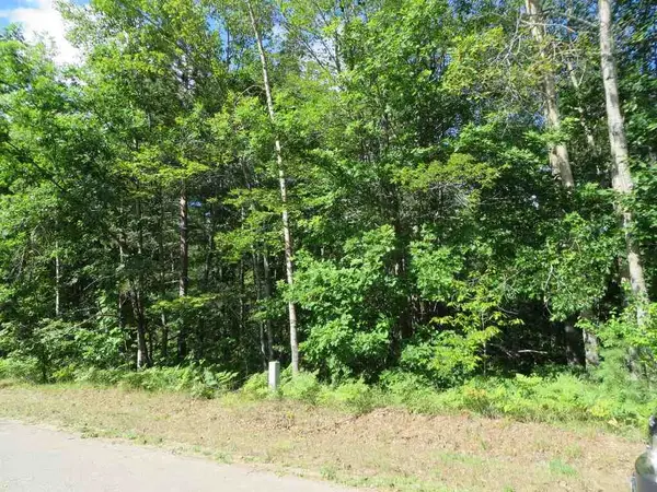 2089 E Log Lake, Kalkaska, MI 49646