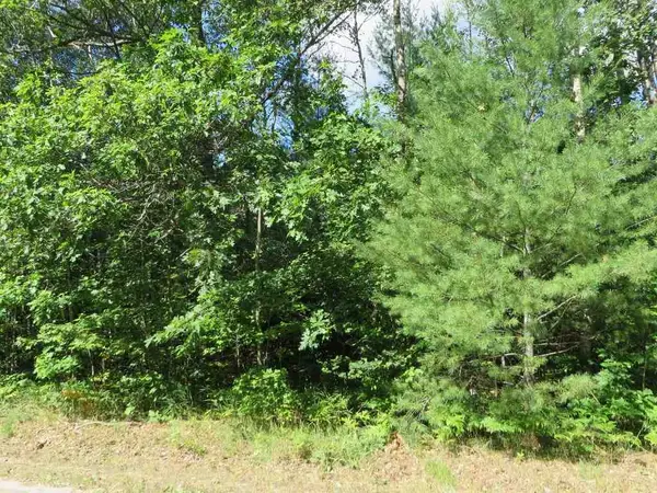 2143 E Log Lake, Kalkaska, MI 49646