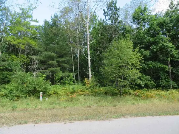 2205 NE Driftwood, Kalkaska, MI 49646