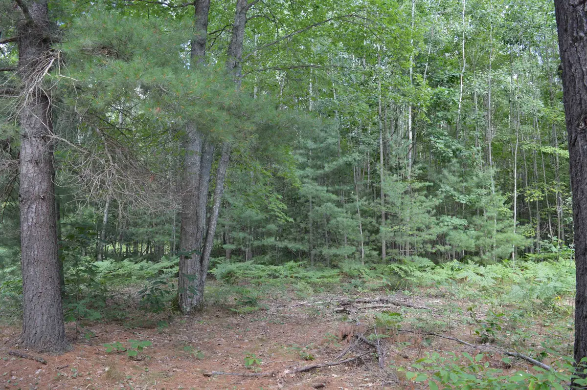 8430 NE Grass Lake, Kalkaska, MI 49646 - #1