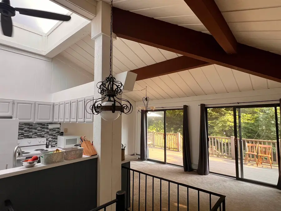4113 S Sugar Loaf Mountain RD, Cedar, MI 49621 - #3