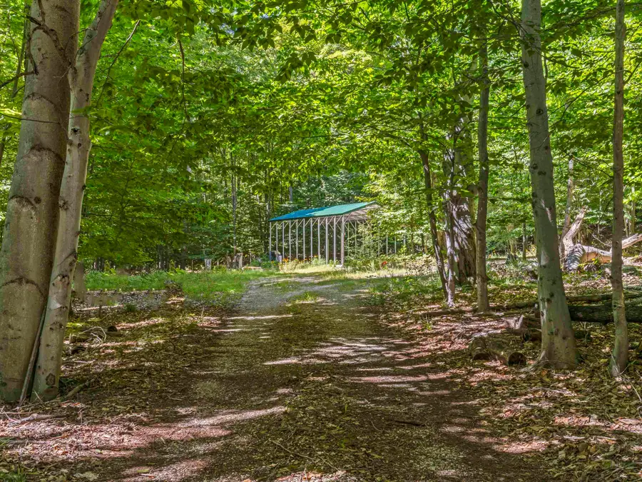454 Vande LN, Beulah, MI 49617 - #3