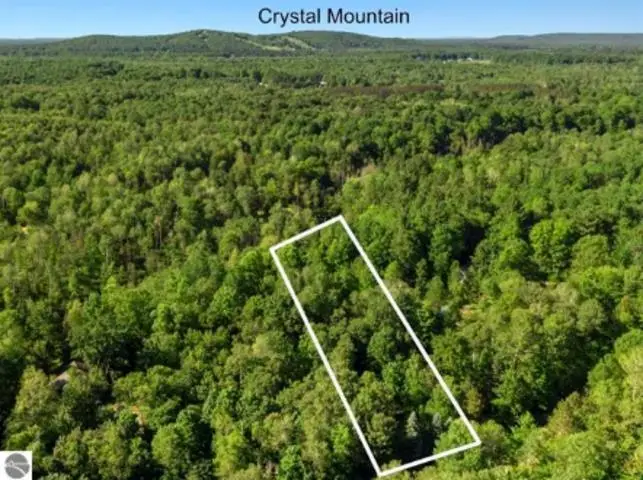 15330 Roaring, Thompsonville, MI 49683 - #3