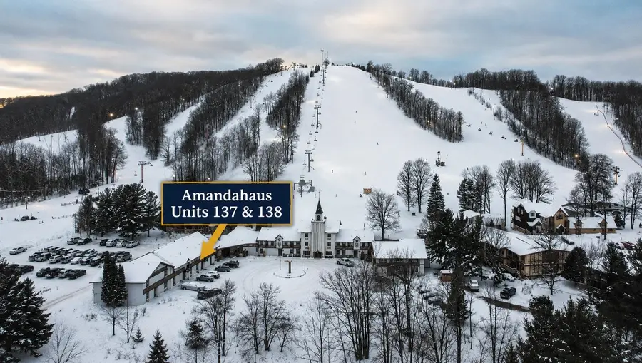 6500 Schuss Mountain, Mancelona, MI 49659 - #2