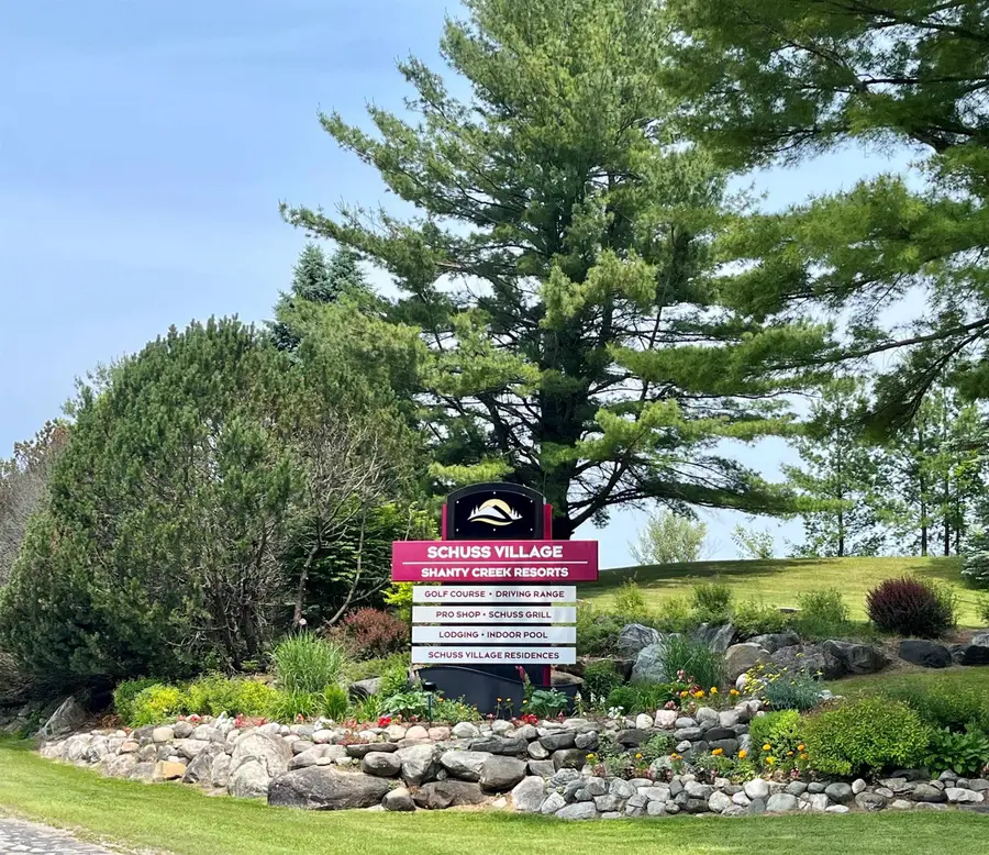 6500 Schuss Mountain, Mancelona, MI 49659 - #3