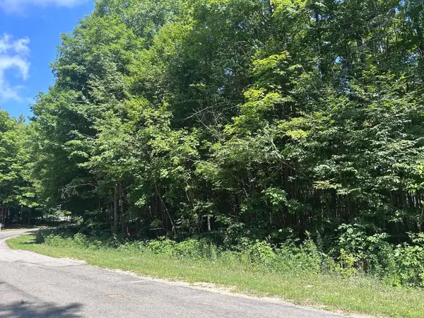0 Antioch, Mesick, MI 49668