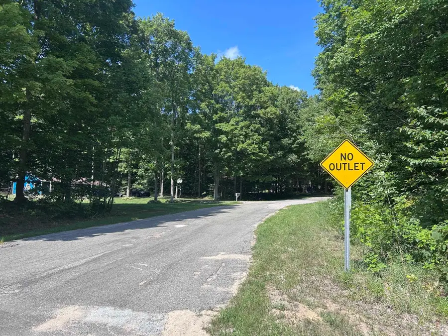 0 Antioch, Mesick, MI 49668 - #3