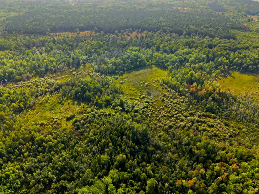 3288 NE Wheeler Lake, Kalkaska, MI 49646 - #3
