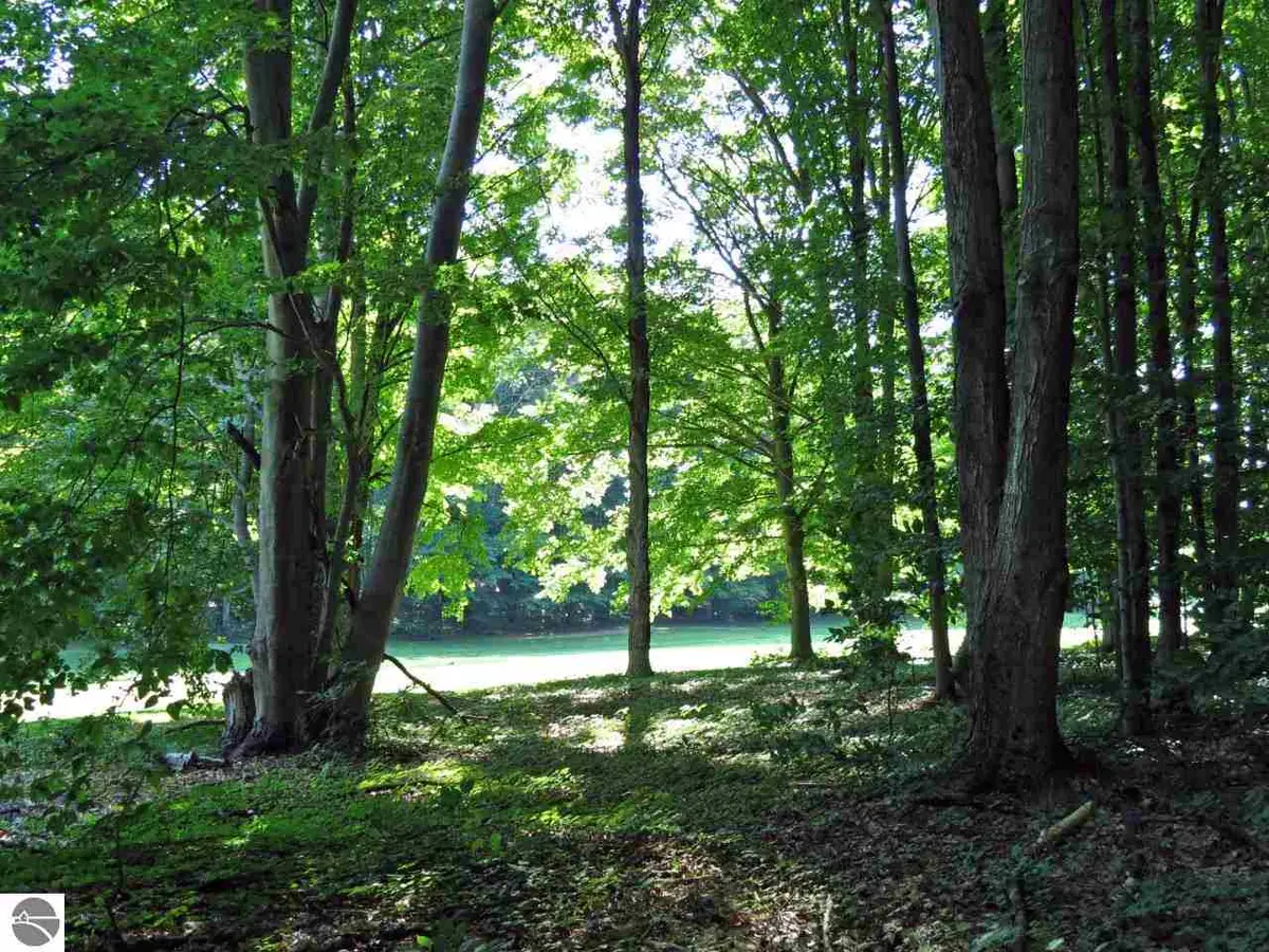 000-Unit 2 Mountain Woods CT, Thompsonville, MI 49683 - #1
