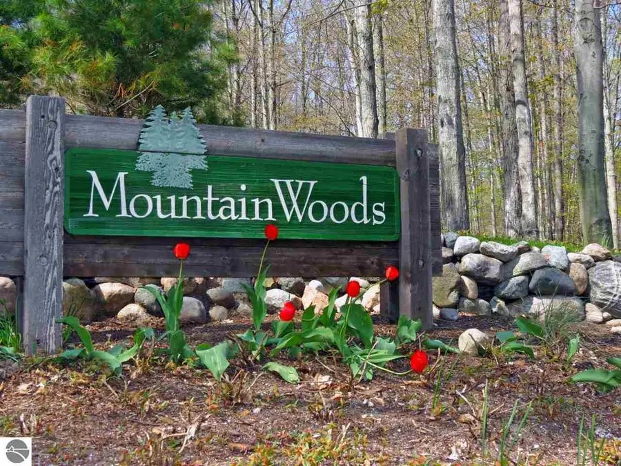 000-Unit 2 Mountain Woods CT, Thompsonville, MI 49683 - #2