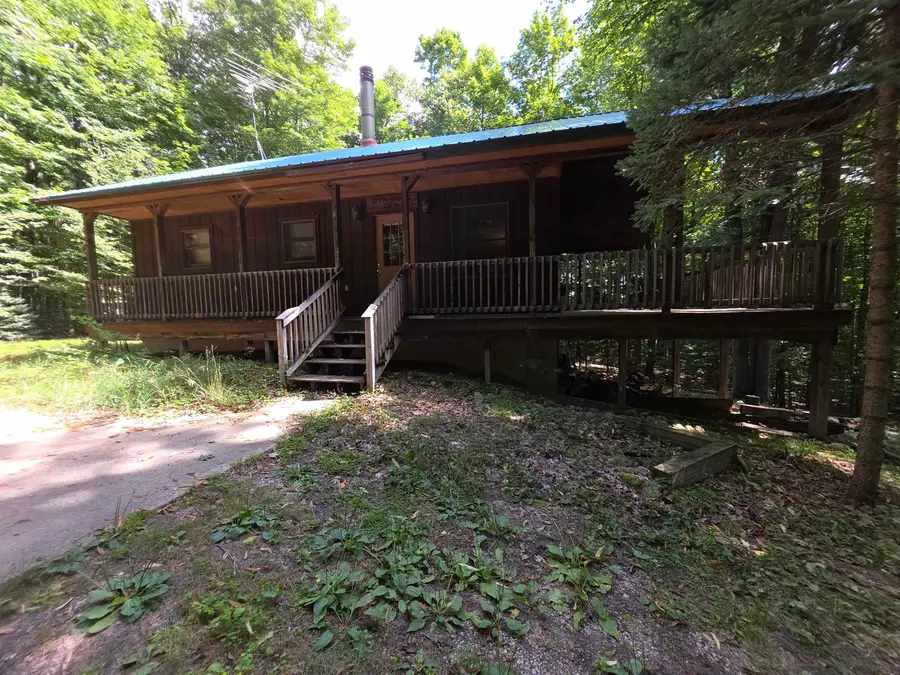 4309 W Phelps, Pioneer, MI 49651 - #3