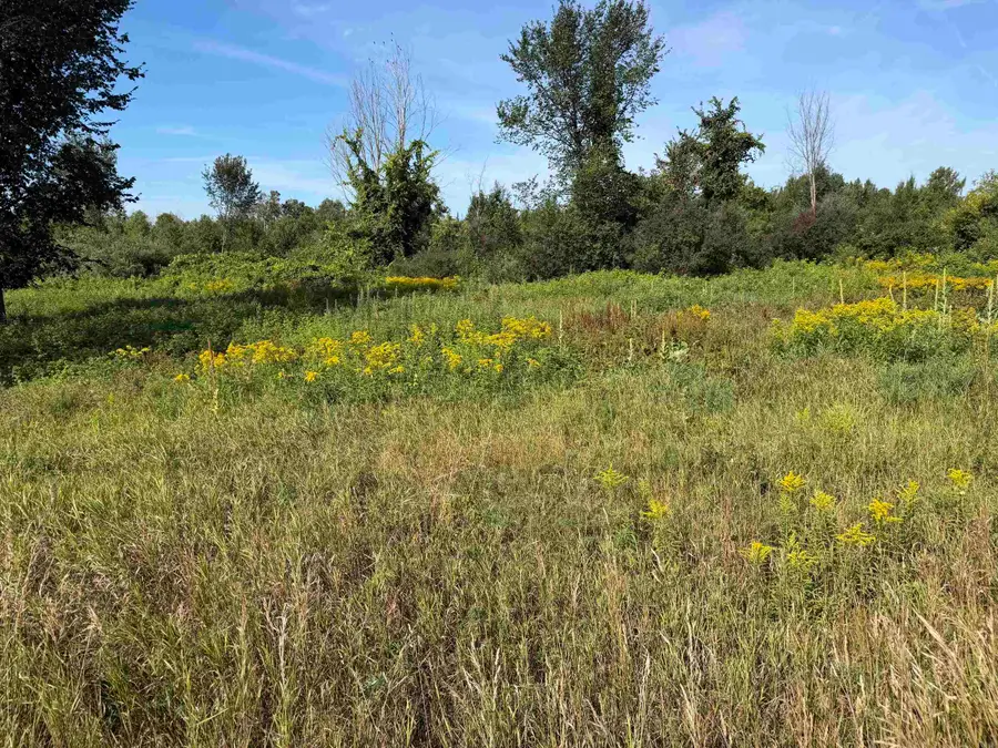 C S M-88, Bellaire, MI 49615 - #3