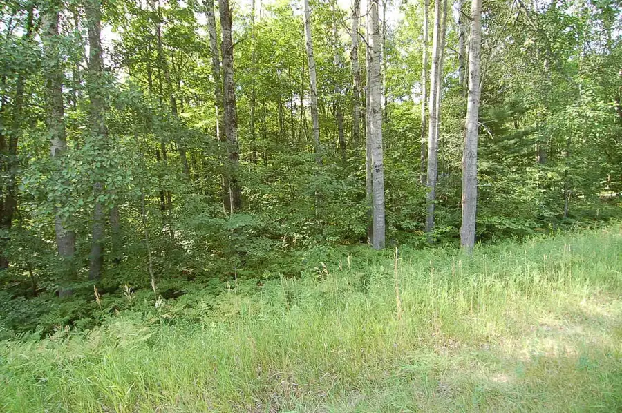 6800 S M-37, Harrietta, MI 49638 - #3