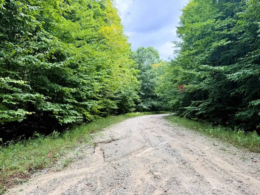 Lots 331-332 Edelweiss, Bellaire, MI 49615 - #2