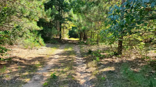 00 Marilla RD, Copemish, MI 49625