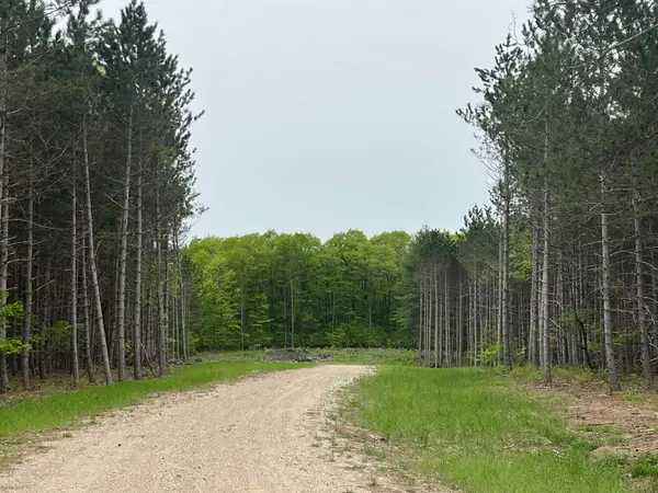 parcel B Theron RD, TraverseCity, MI 49685