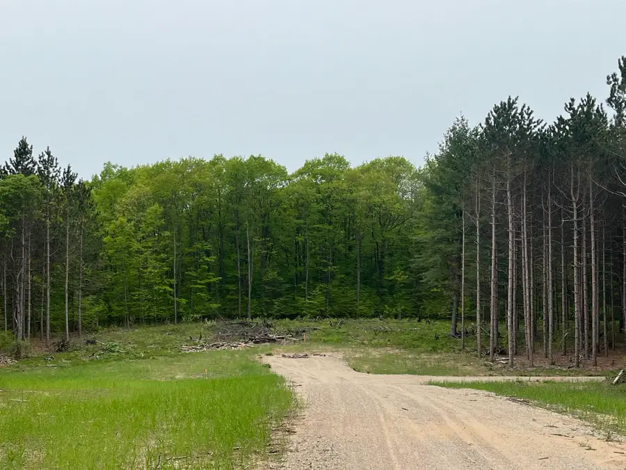 parcel C Theron RD, Long Lake, MI 49685 - #2