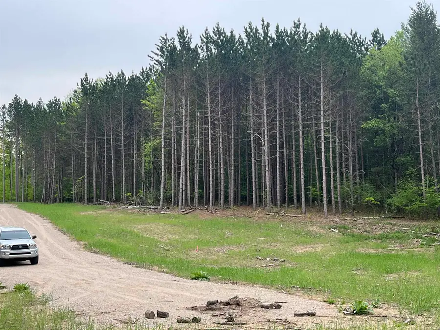parcel C Theron RD, Long Lake, MI 49685 - #3