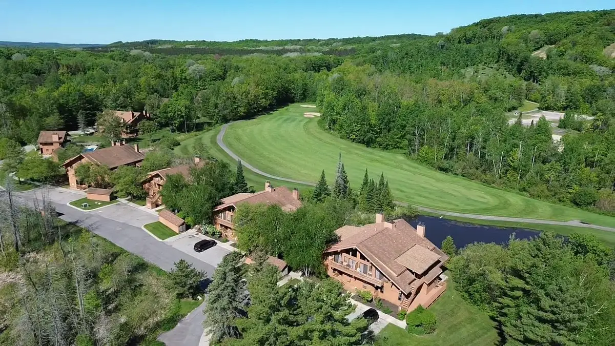 6658 Schuss Mountain, Mancelona, MI 49659 - #1