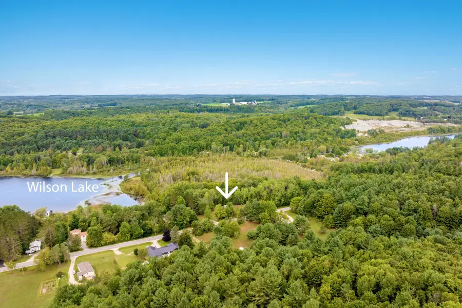 7417 Rushton, Ellsworth, MI 49729 - #3