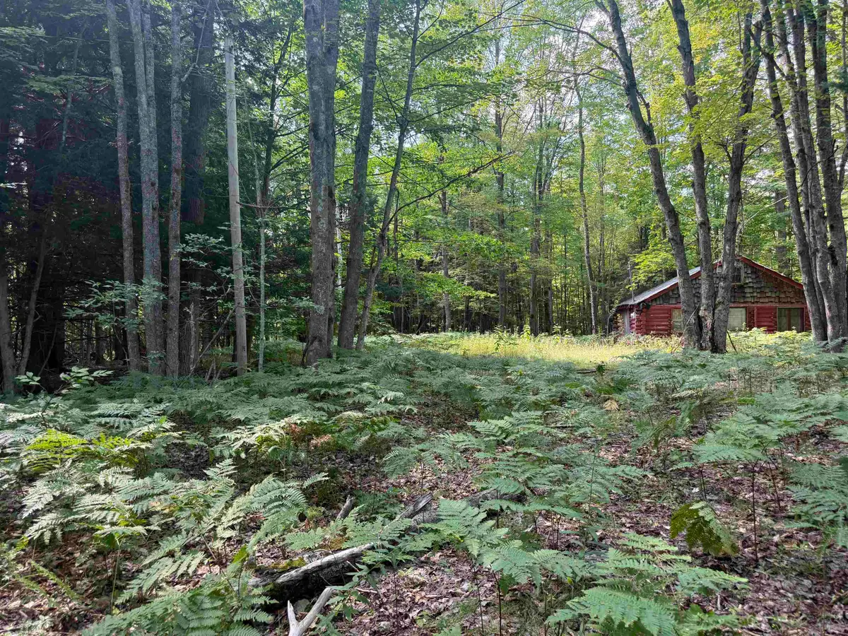 11712 Henschell, Fife Lake, MI 49633 - #1