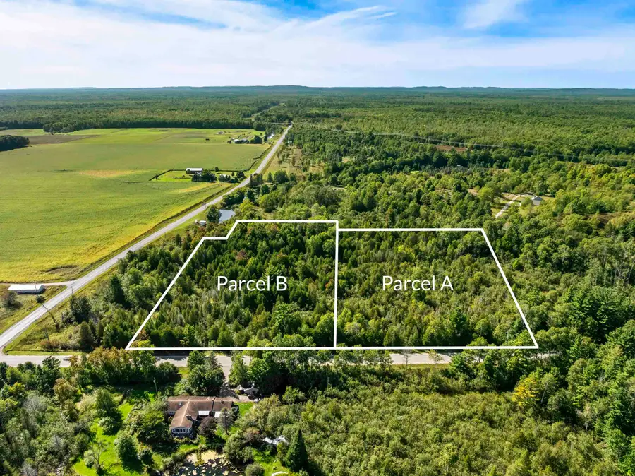 Parcel A Yates, Copemish, MI 49625 - #3