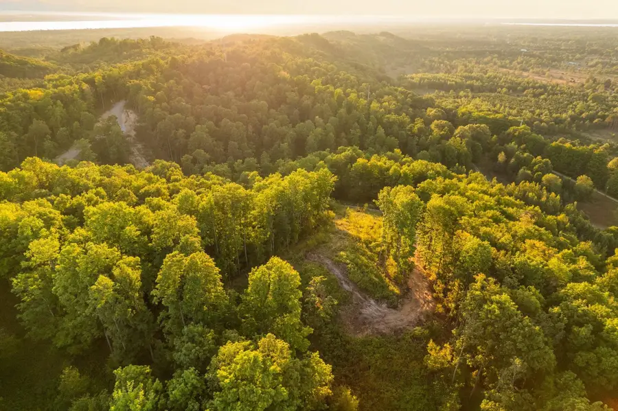 26.32 Acres Retreats, Rapid City, MI 49676 - #3