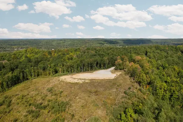 24.6 Acres Retreats, RapidCity, MI 49676