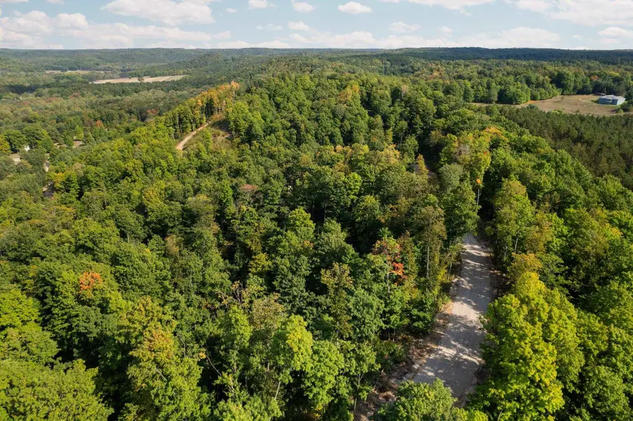 22.55 Acres Retreats, Rapid City, MI 49676 - #3