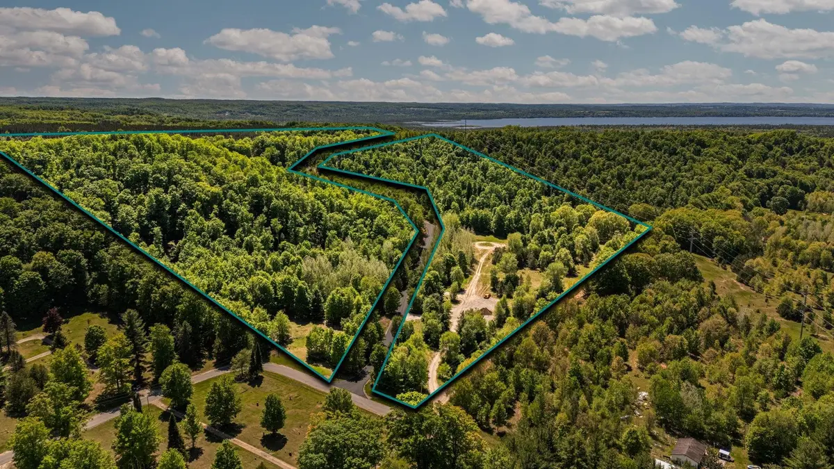 42.02 Acres Retreats, Rapid City, MI 49676 - #1