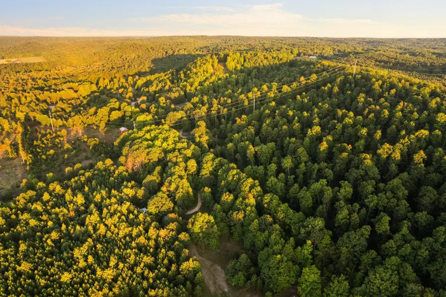 42.02 Acres Retreats, Rapid City, MI 49676 - #3