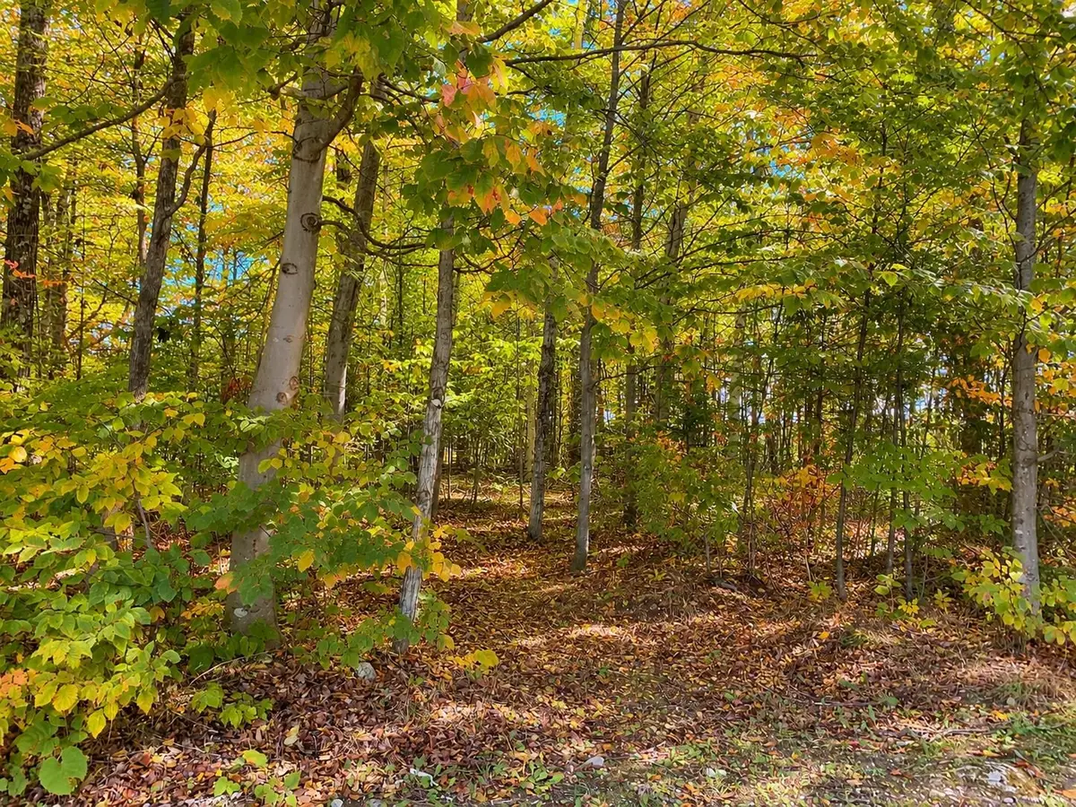3930 Spruceview, Mackinac Island, MI 49797 - #1