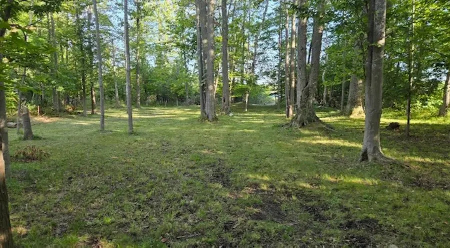 Bass Lake 1-3 Partridge, Elkrapids, MI 49629 - #2