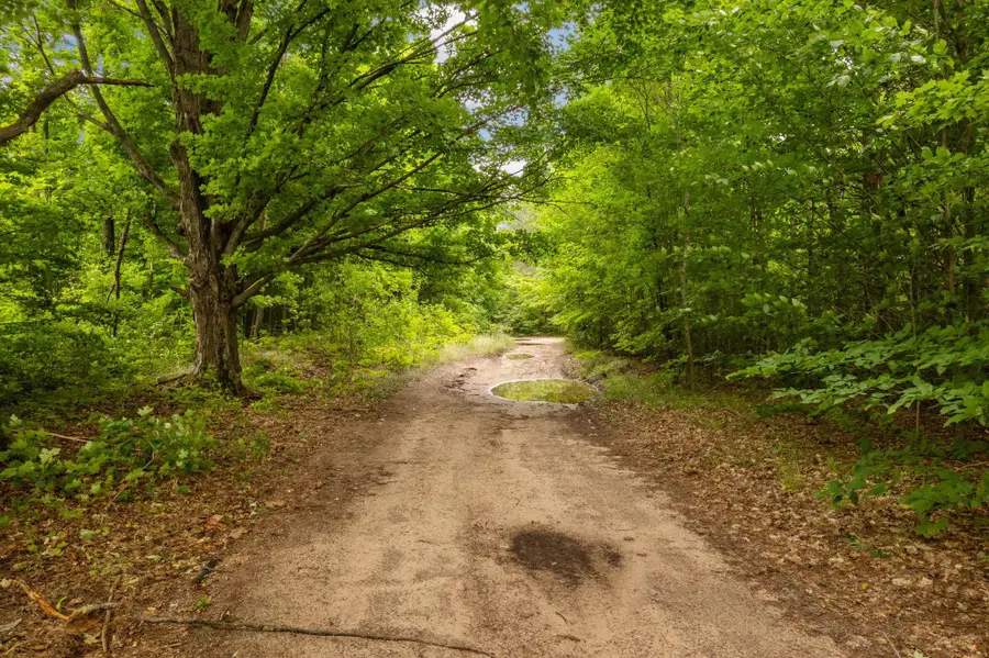 Parcel B Garn RD, Blair, MI 49685 - #3